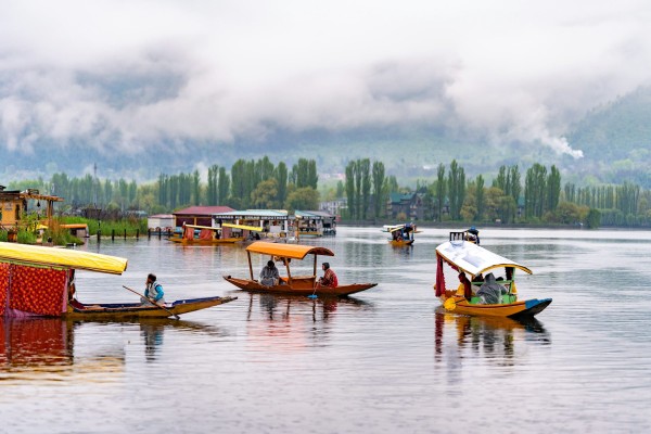 Unveil Kashmir's Splendor: 6 Days Journey